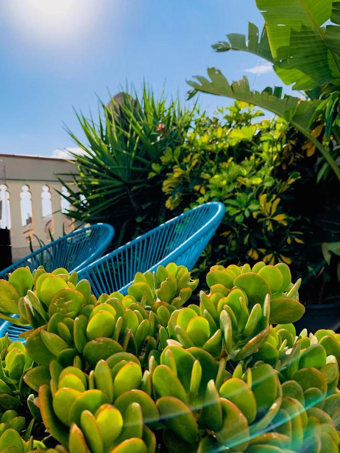 Incredible 2Br Penthouse With Urban Rooftop Garden Barcelona Luaran gambar
